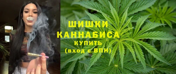 стаф Зеленодольск