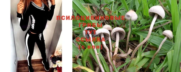 стаф Зеленодольск