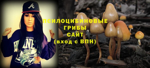 стаф Зеленодольск