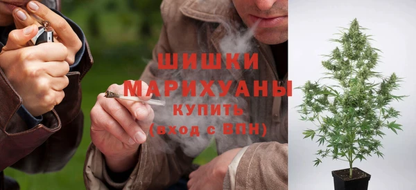 стаф Зеленодольск