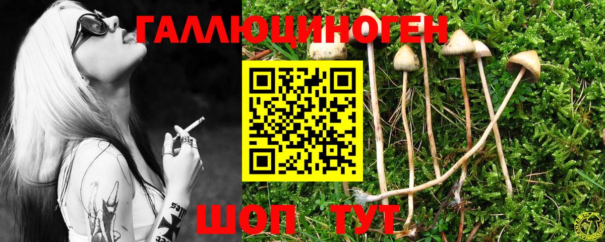 Галлюциногенные грибы Magic Shrooms  Кизляр  Псилоцибиновые грибы MAGIC MUSHROOMS 