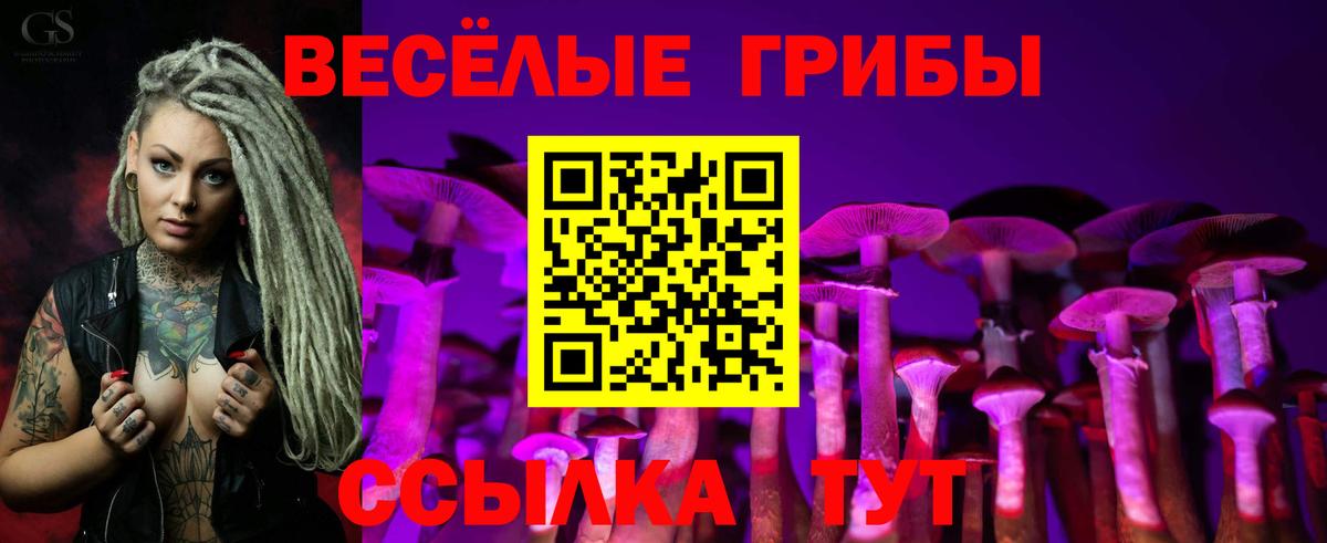 Псилоцибиновые грибы Magic Shrooms Кизляр