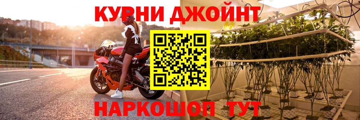 Канабис OG Kush Кизляр